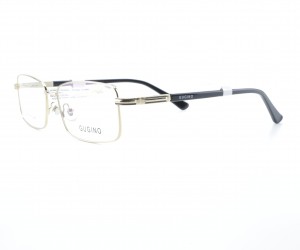 G:2004C1 GUGINO 