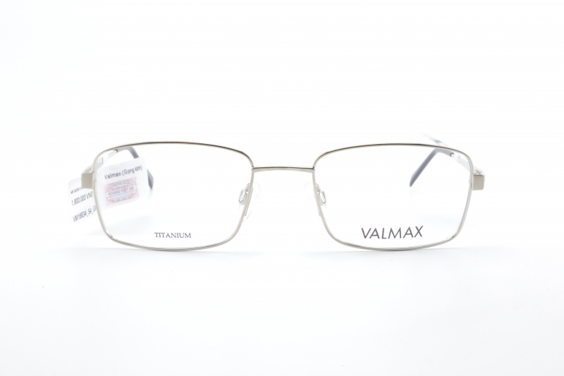 G:16634C524 VALMAX