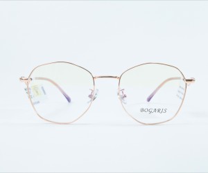 G:101009C4-BOGARIS