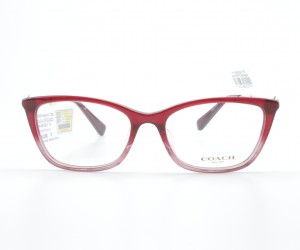 G:5551PINK COACH