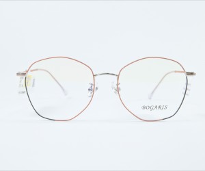 G:100838C6-BOGARIS