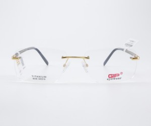 G:8606C1 GIP