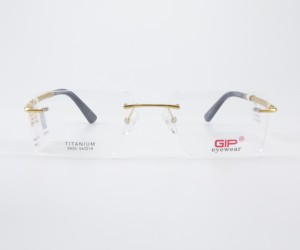 G:9950C1 GIP